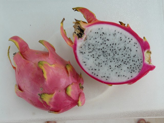 1752 Dragon Fruit Photo by Jerry